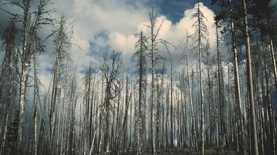 永劫无间全武器连招教学与近战实战技巧汇总